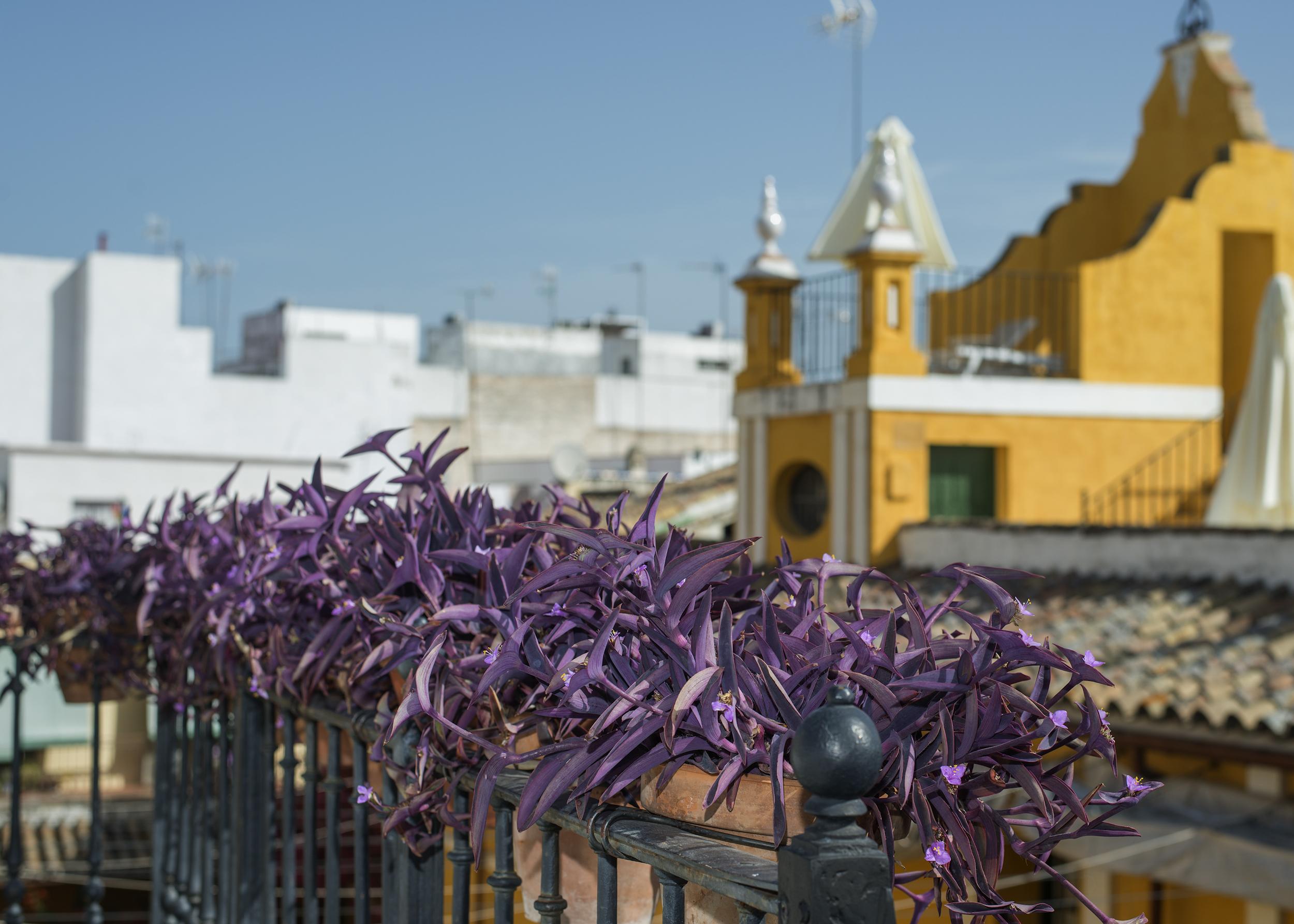 Hotel Las Casas De La Juderia Sevilla Kültér fotó